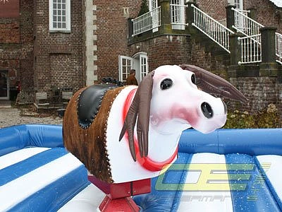 Rentier Rodeo mieten